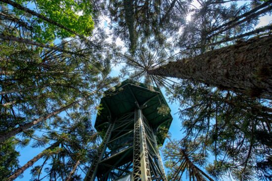 Parque do Caracol completa 50 anos