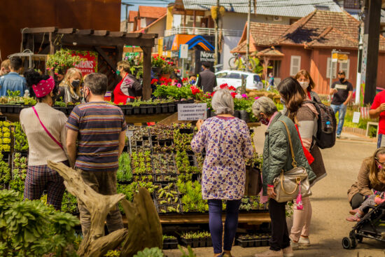 Festival da Primavera inicia nesta sexta-feira em Nova Petrópolis